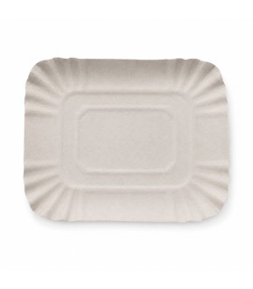 BANDEJAS CARTON 2