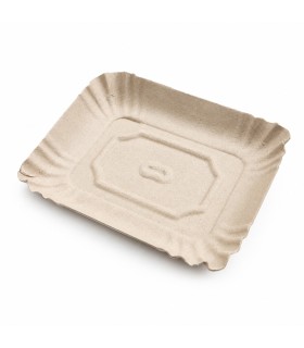 BANDEJAS CARTON 3