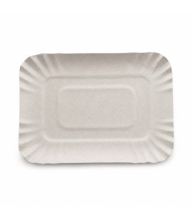 BANDEJAS CARTON 5
