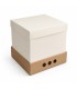 CAJA P/TORTA ALTA (25X25X25)