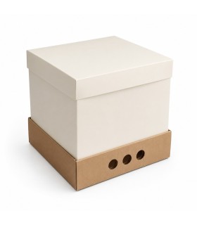 CAJA P/TORTA ALTA (25X25X25)