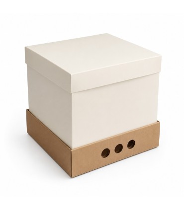 CAJA P/TORTA ALTA (25X25X25)