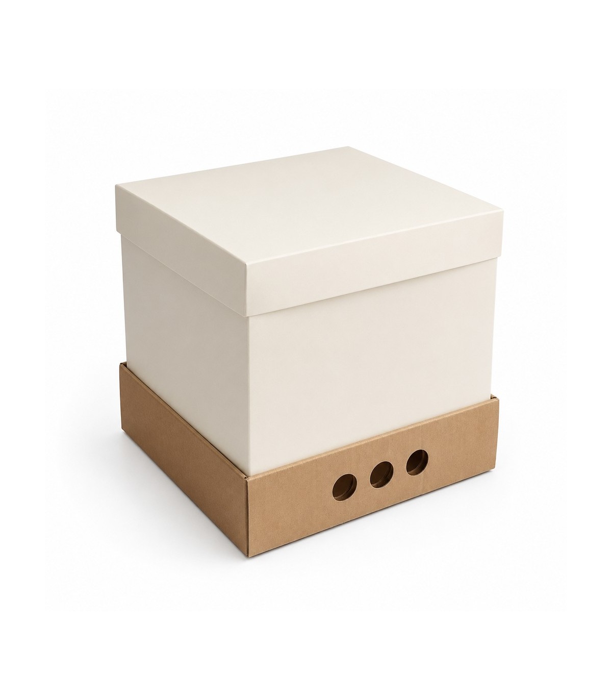 CAJA P/TORTA ALTA (25X25X25)