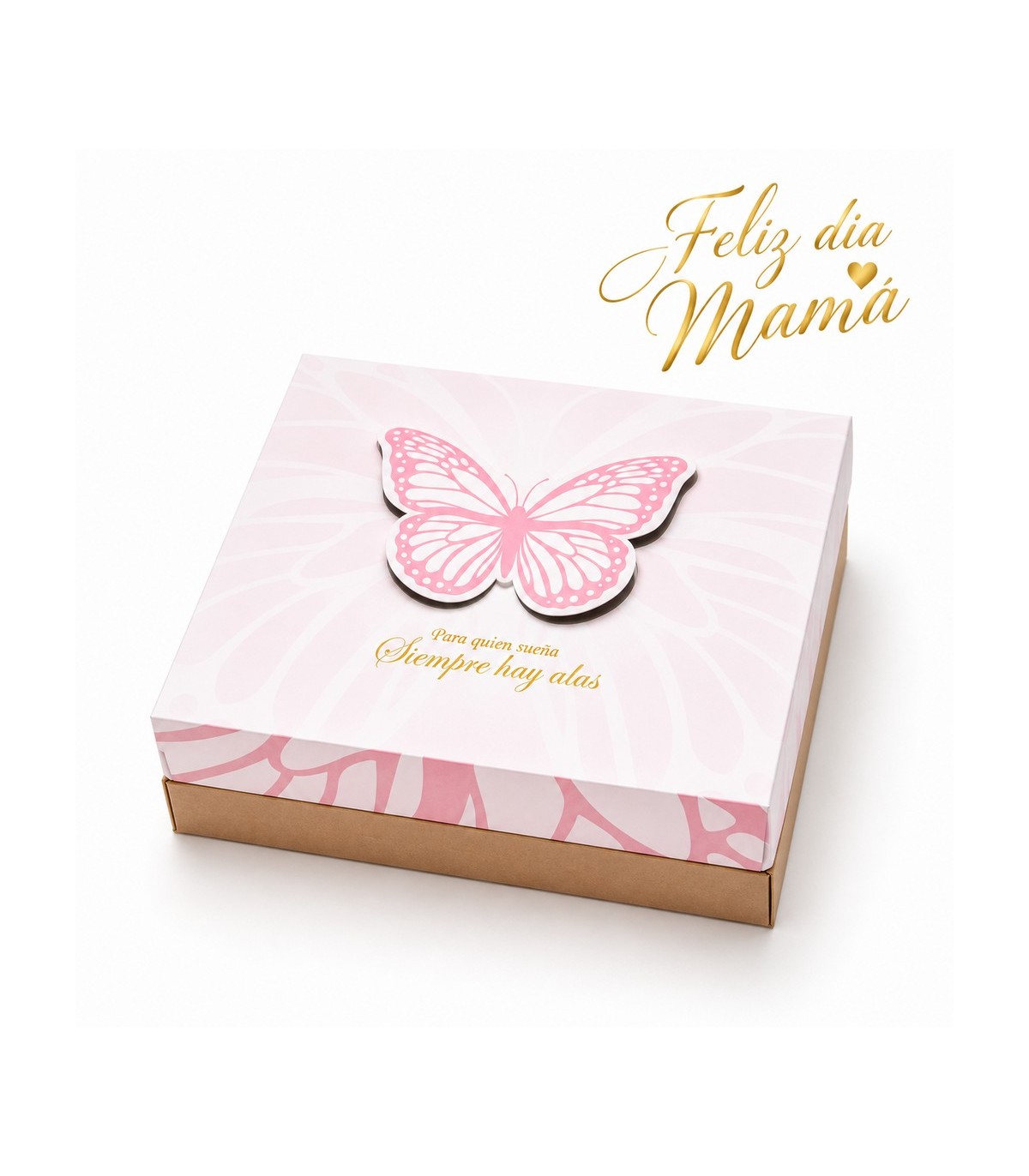 CAJA DESAYUNO C/VISOR 25x25x12