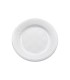 PLATO PLASTICO 22 CM