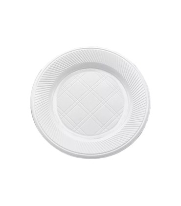 PLATO PLASTICO 22 CM