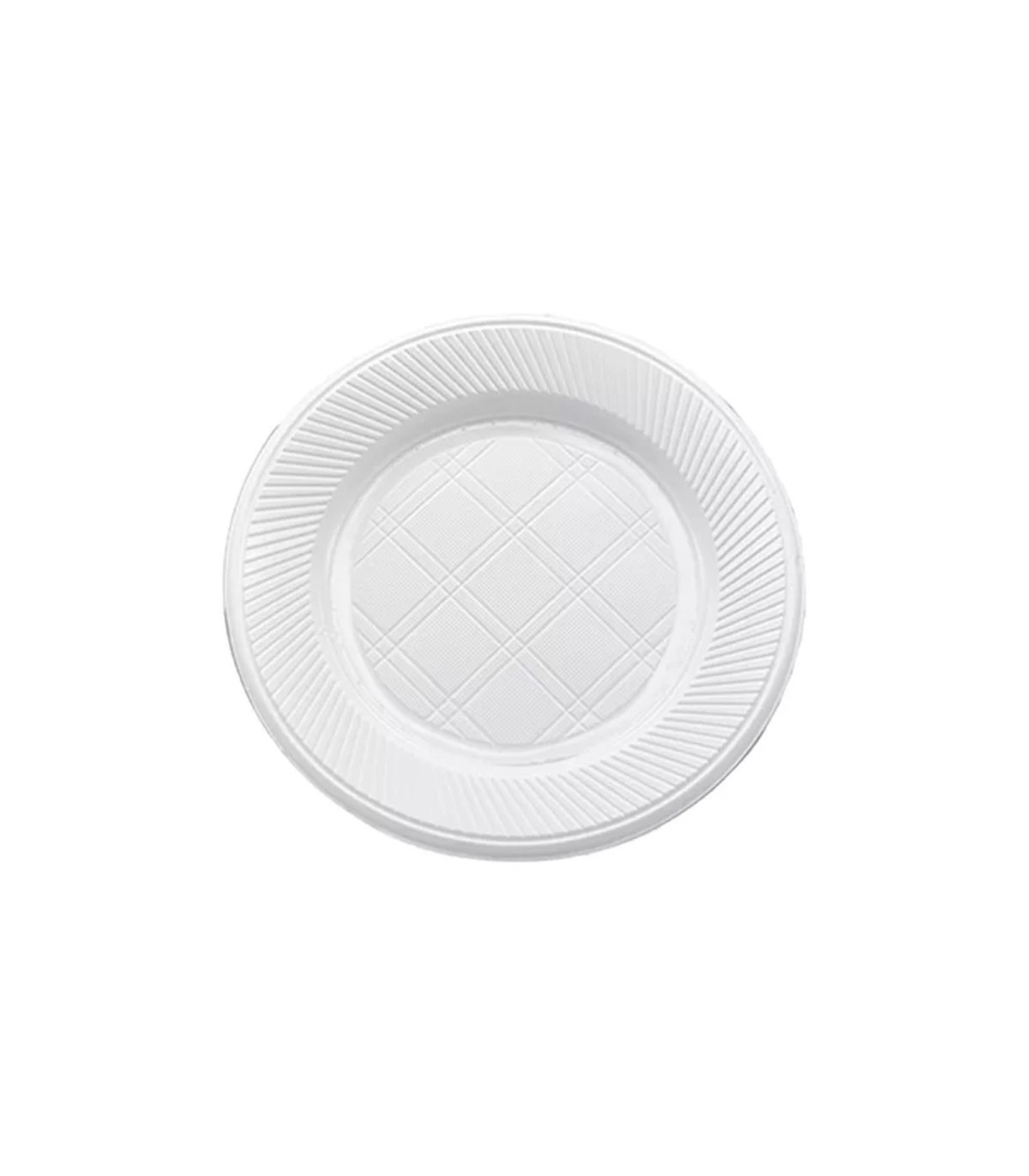 PLATO PLASTICO 22 CM